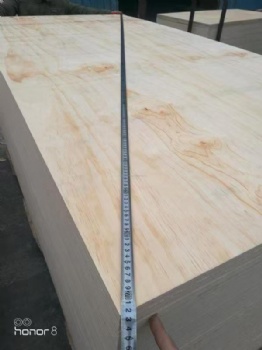 high quality 4*8ft plywood for interior wall decoration